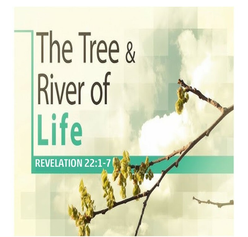 The Circle of Grace Upon Grace