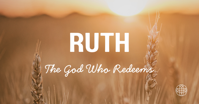 God's Providence at Work (Ruth 2:1-23)