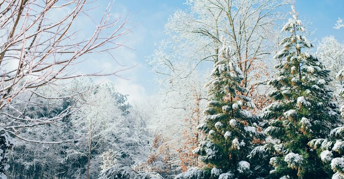 Sermon:  “God Plays No Favorites”