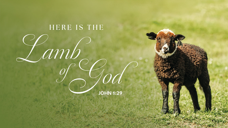 2nd Sunday after Epiphany