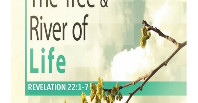 The Circle of Grace Upon Grace