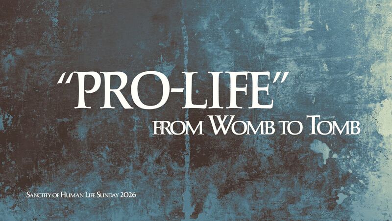 Pro-Life: From Womb to Tomb