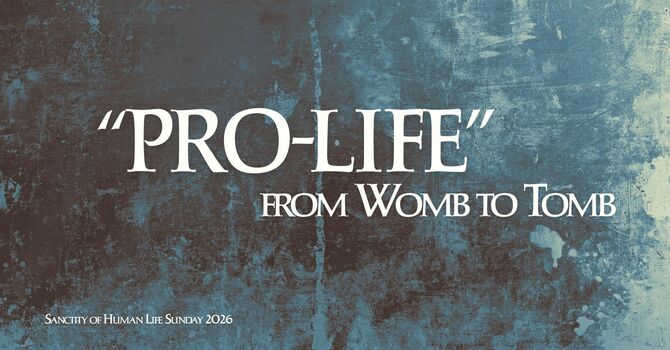 Pro-Life: From Womb to Tomb