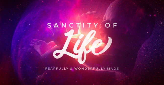 Sanctity of Life - Fearfully & Wonderfully Made