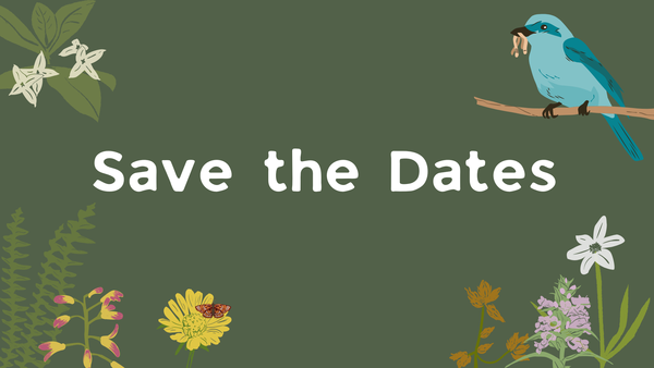 OUR MINISTRIES ARE RECOMMENCING for 2026