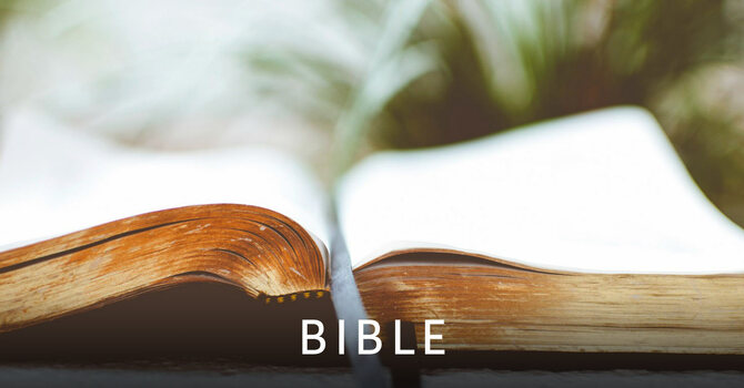 Bible Study