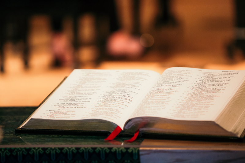 The Greatest Story: Joy to the World