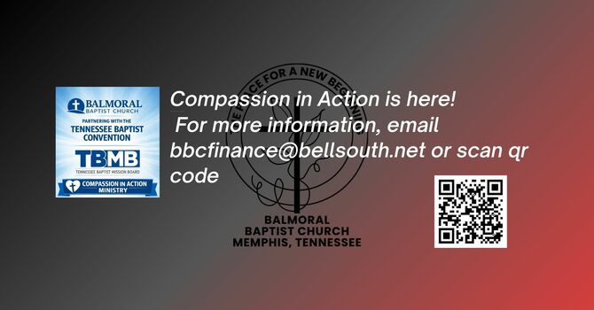 Compassion in Action