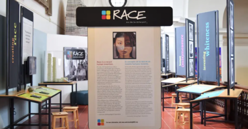 Field Trip: Equity v Equality Workshop