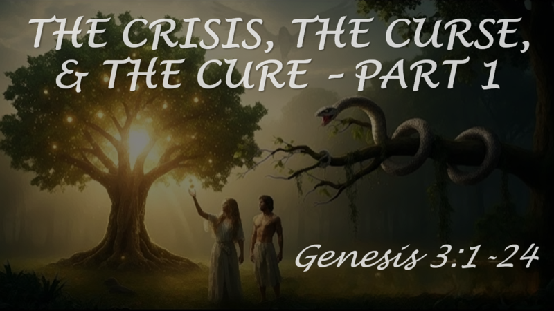 The Crisis, The Curse, & The Cure, Pt 1