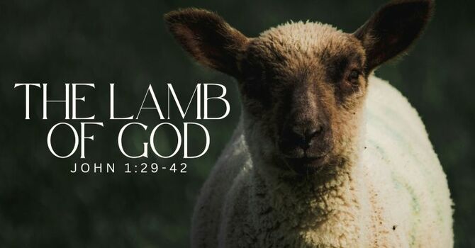 The Lamb of God