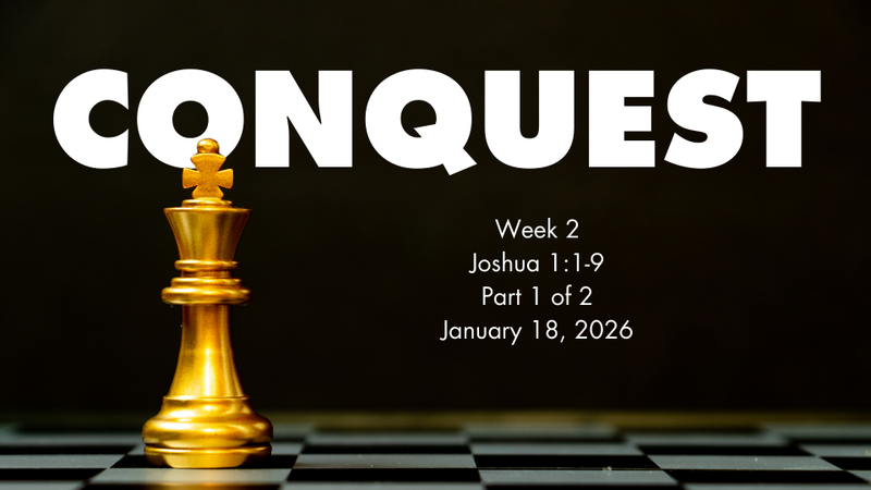 Conquest | Week 2