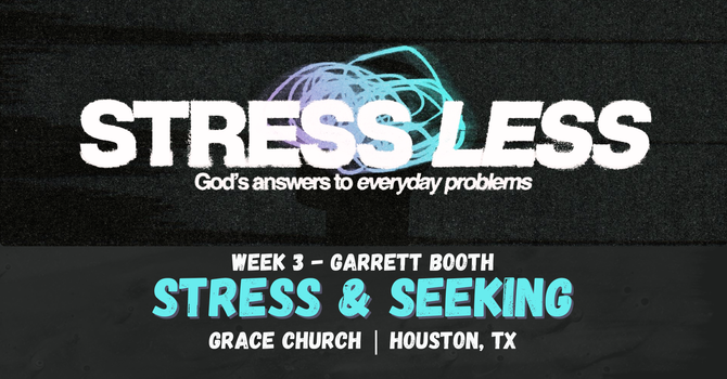 Stress Less: Stress & Seeking