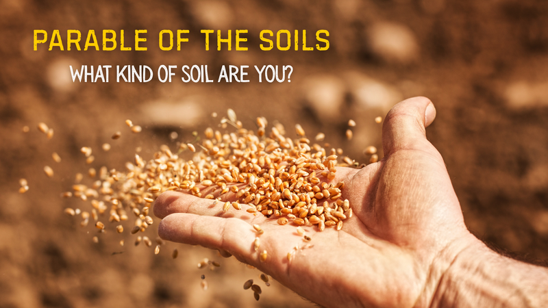 What kind of soil are you?
