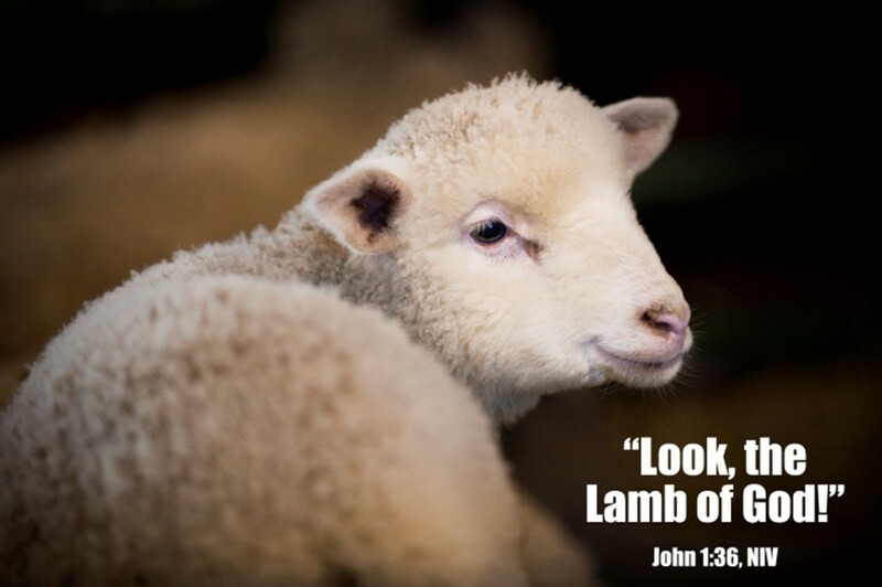 Sermon for January 18, 2026, Epiphany 2