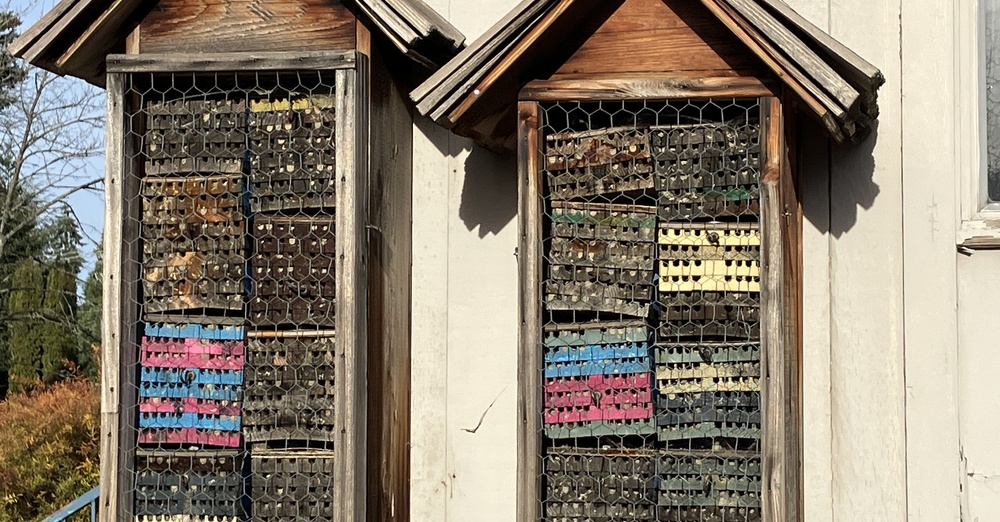 Tour of Habitat Projects in Seattle Area