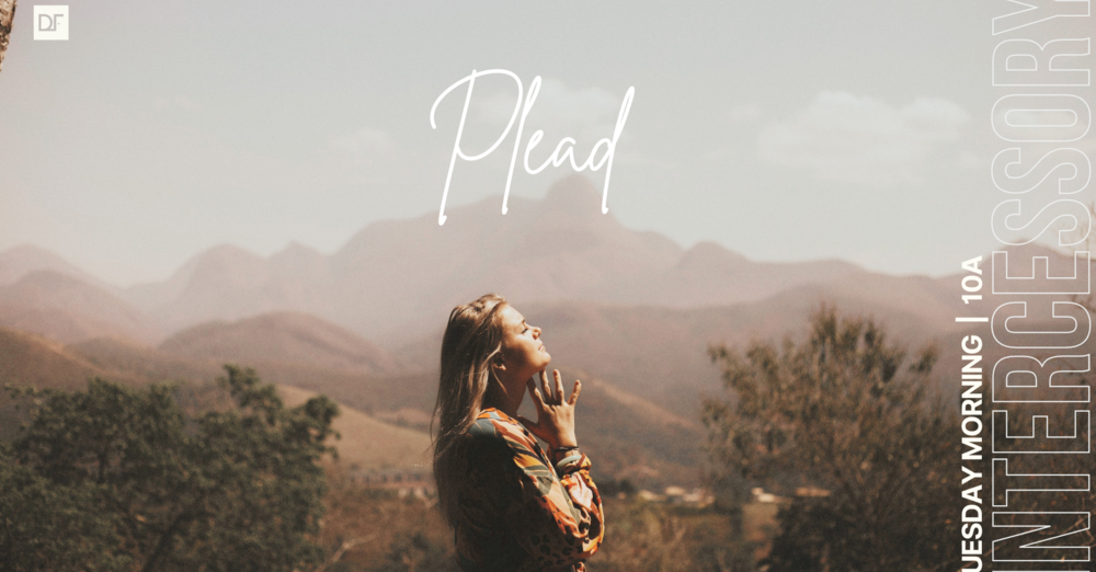 Plead