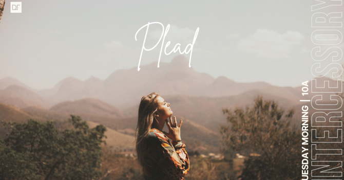 Plead