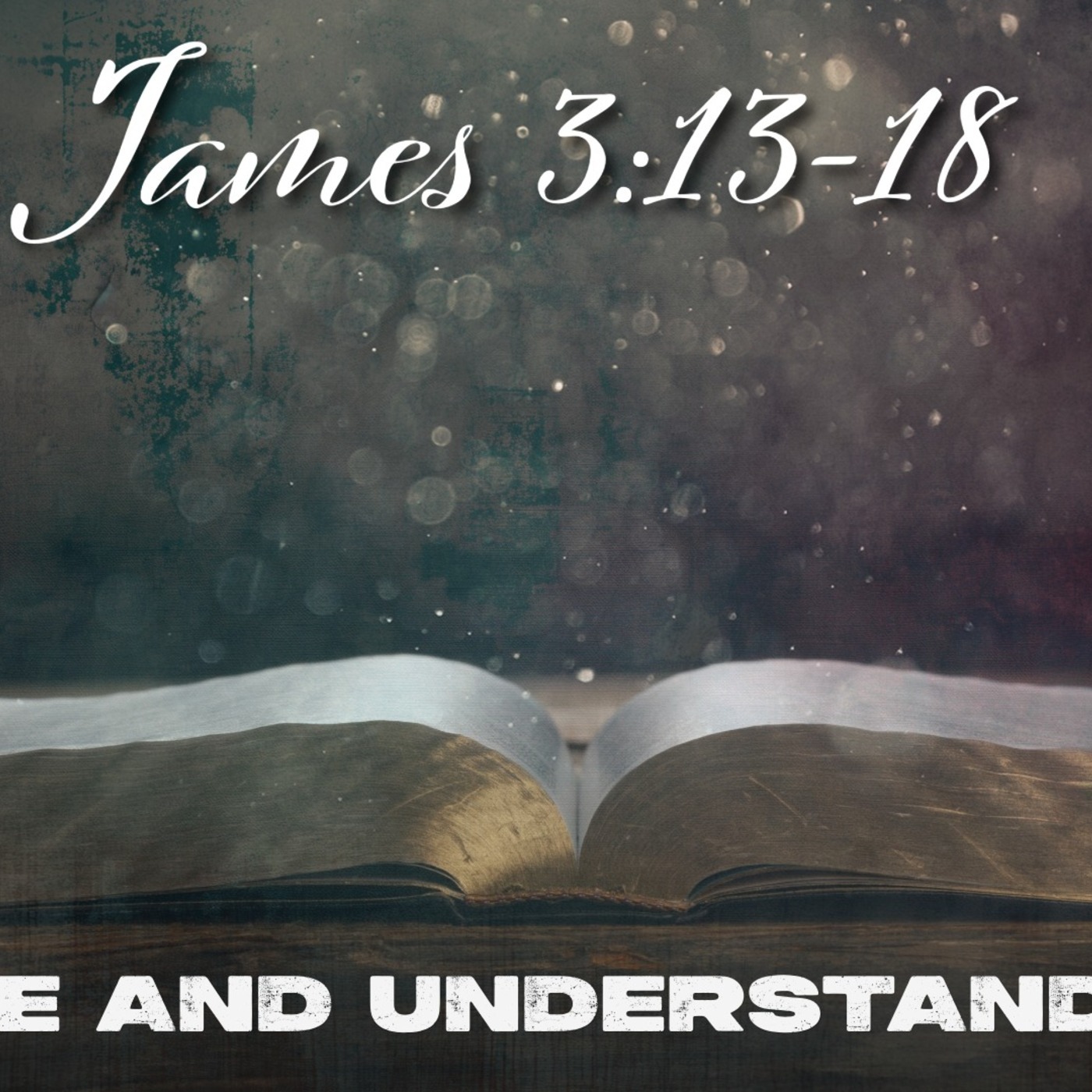 Wise and Understanding episode artwork