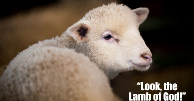 Sermon for January 18, 2026, Epiphany 2