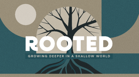 Rooted