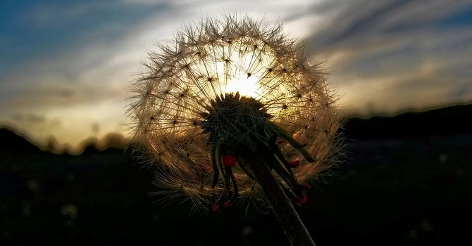 Sunday, January 18, 2026 image