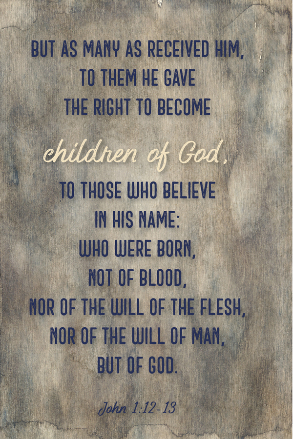 Fighter Verse | January 18, 2026