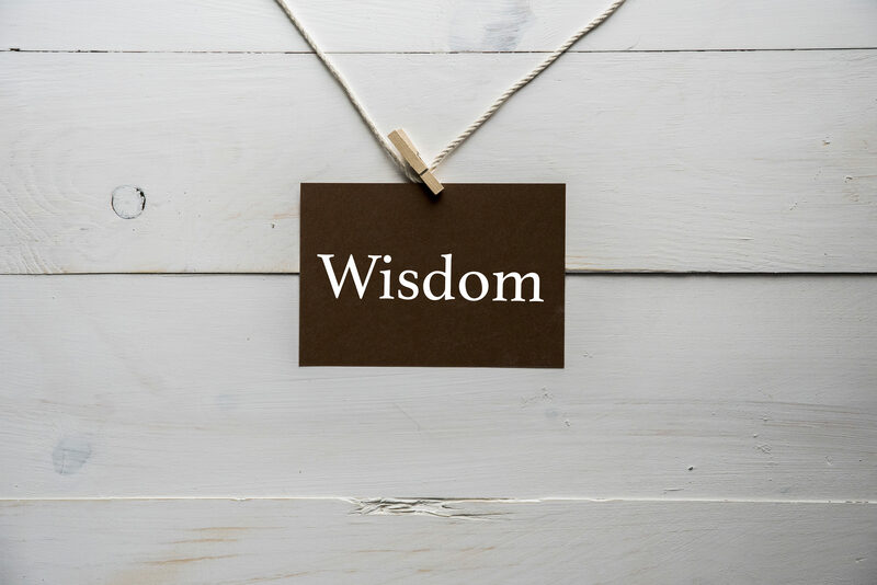 Wisdom Begins...