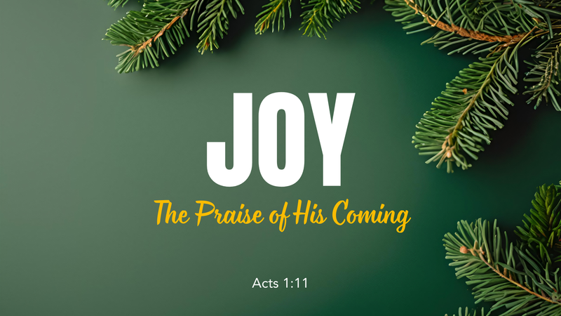 Joy - The Praise of His Coming