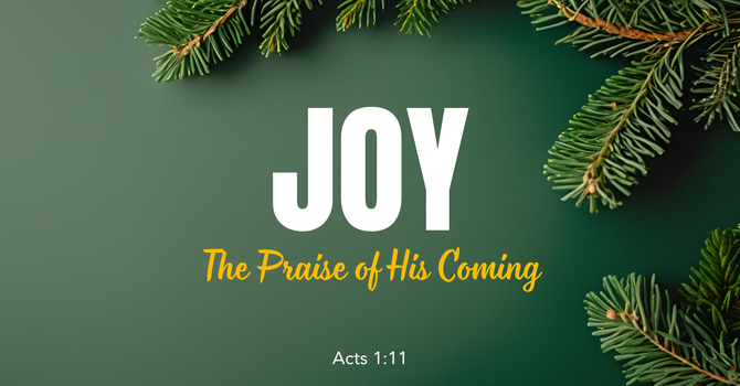Joy - The Praise of His Coming