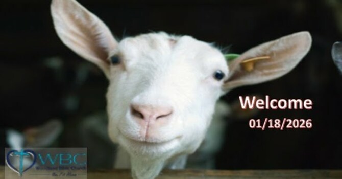 The LORD is My Shepherd Part 2