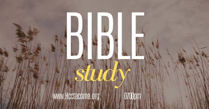 Bible Study