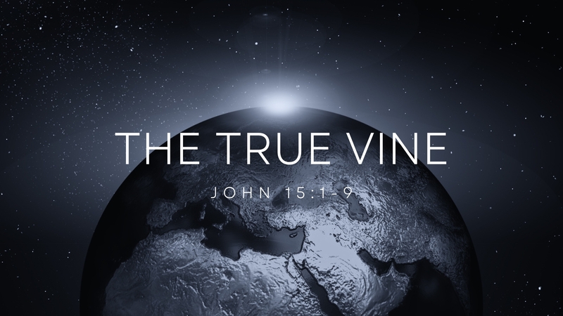The True Vine
