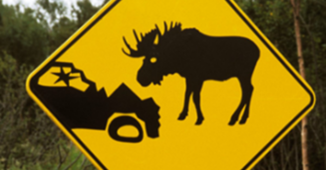 Wednesday Web - Armchair Travel