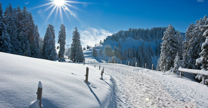 January 21, 2026 Devotion  image