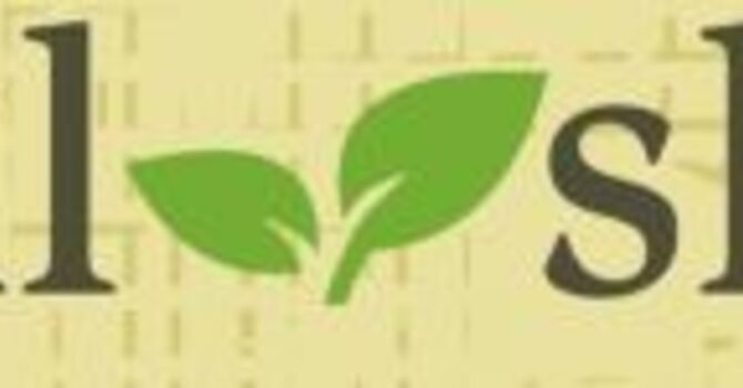 Soul Shop for Black Churches Workshop