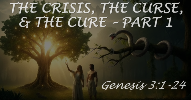 The Crisis, The Curse, & The Cure, Pt 1