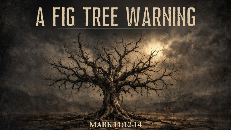 The Fig Tree Warning