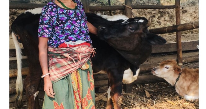 Fighting to End Hunger Around the World