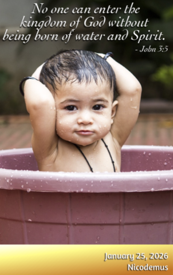 Sunday’s Preview – Water & Spirit 