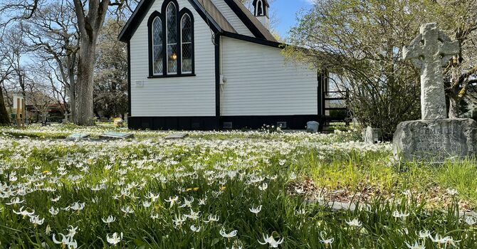 Invitation to Community