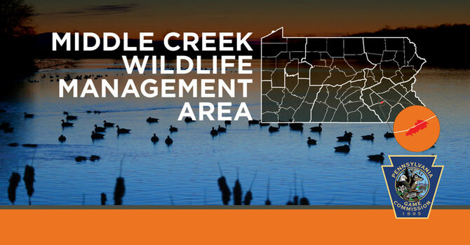 Family Trip to Middle Creek