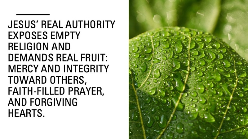 Less Leaves More Fruit