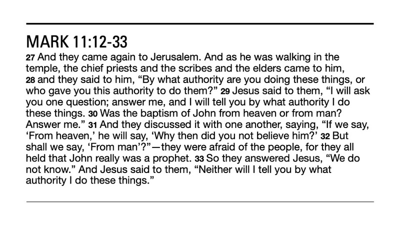 Less Leaves More Fruit