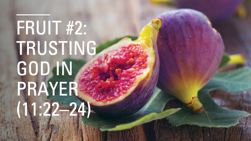 Less Leaves More Fruit