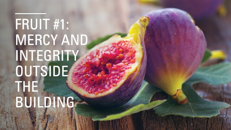 Less Leaves More Fruit