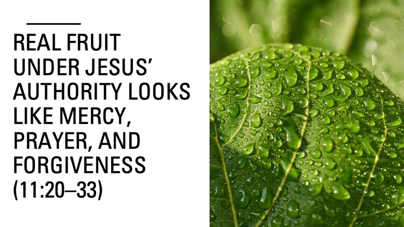 Less Leaves More Fruit