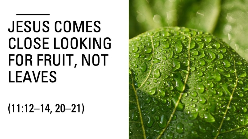 Less Leaves More Fruit