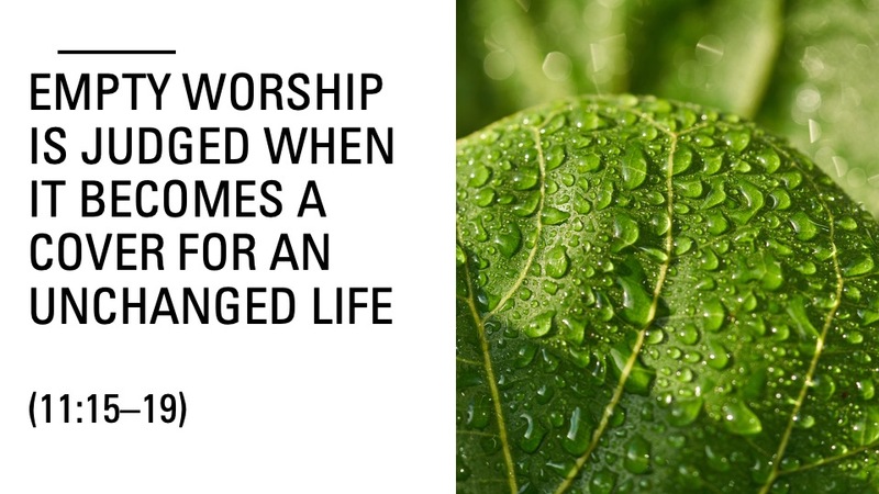 Less Leaves More Fruit