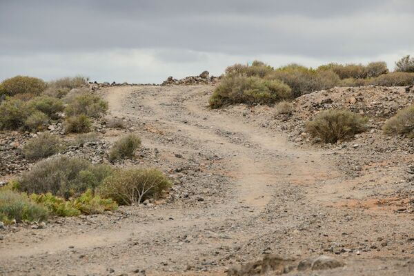 Praying-A poem by Mary Oliver